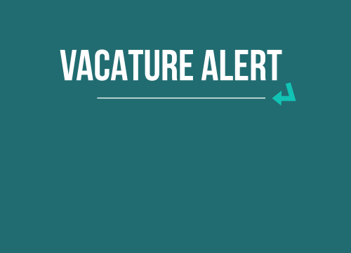 Vacature Business Developer/ Strategisch Verbinder & Projectmanager